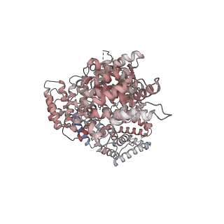 22990_7kpw_C_v1-2
Structure of the H-lobe of yeast CKM