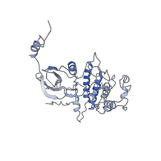 22991_7kpx_A_v1-1
Structure of the yeast CKM