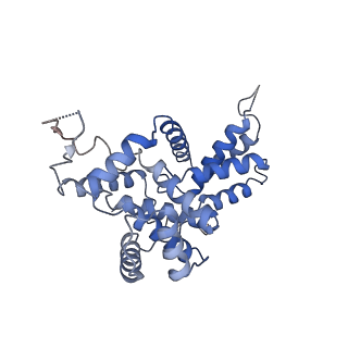 22991_7kpx_B_v1-2
Structure of the yeast CKM