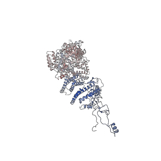 22991_7kpx_C_v1-1
Structure of the yeast CKM