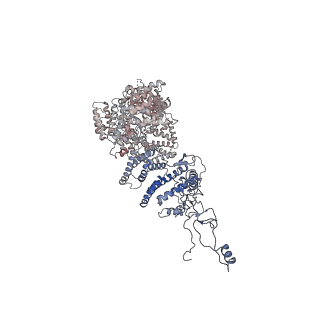 22991_7kpx_C_v1-2
Structure of the yeast CKM