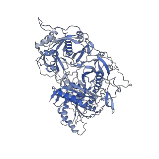 22991_7kpx_D_v1-1
Structure of the yeast CKM