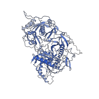 22991_7kpx_D_v1-2
Structure of the yeast CKM