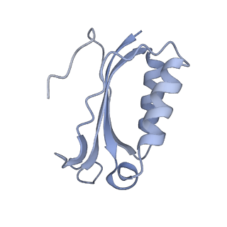 8279_5kps_11_v1-4
Structure of RelA bound to ribosome in absence of A/R tRNA (Structure I)