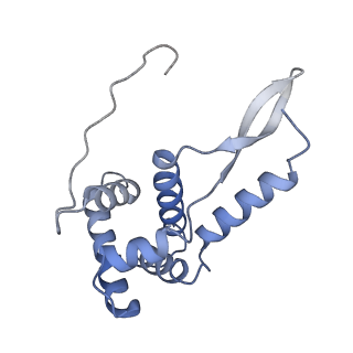 8279_5kps_12_v1-4
Structure of RelA bound to ribosome in absence of A/R tRNA (Structure I)