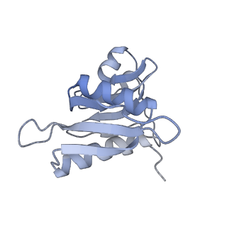 8279_5kps_13_v1-4
Structure of RelA bound to ribosome in absence of A/R tRNA (Structure I)