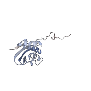 8279_5kps_14_v1-4
Structure of RelA bound to ribosome in absence of A/R tRNA (Structure I)
