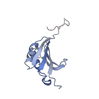 8279_5kps_16_v1-4
Structure of RelA bound to ribosome in absence of A/R tRNA (Structure I)