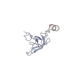 8279_5kps_17_v1-4
Structure of RelA bound to ribosome in absence of A/R tRNA (Structure I)