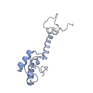 8279_5kps_18_v1-4
Structure of RelA bound to ribosome in absence of A/R tRNA (Structure I)