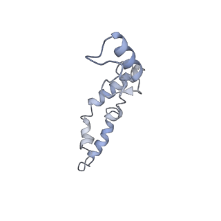 8279_5kps_19_v1-4
Structure of RelA bound to ribosome in absence of A/R tRNA (Structure I)
