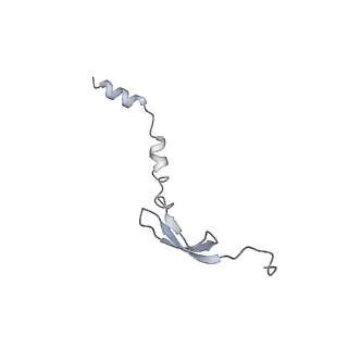 8279_5kps_1_v1-4
Structure of RelA bound to ribosome in absence of A/R tRNA (Structure I)