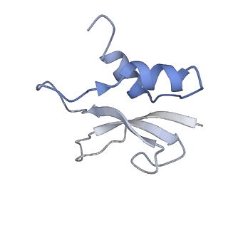8279_5kps_21_v1-4
Structure of RelA bound to ribosome in absence of A/R tRNA (Structure I)
