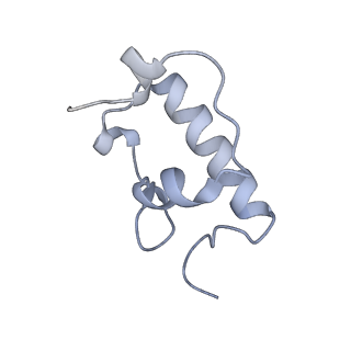 8279_5kps_23_v1-4
Structure of RelA bound to ribosome in absence of A/R tRNA (Structure I)