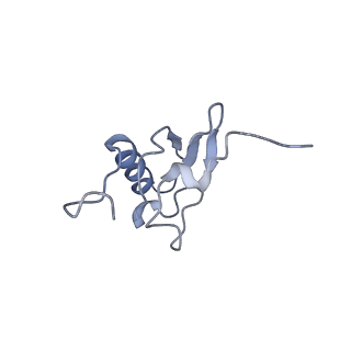 8279_5kps_24_v1-4
Structure of RelA bound to ribosome in absence of A/R tRNA (Structure I)