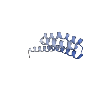 8279_5kps_25_v1-4
Structure of RelA bound to ribosome in absence of A/R tRNA (Structure I)