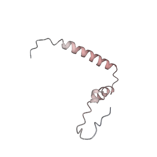 8279_5kps_26_v1-4
Structure of RelA bound to ribosome in absence of A/R tRNA (Structure I)