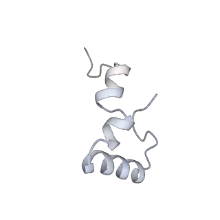 8279_5kps_4_v1-4
Structure of RelA bound to ribosome in absence of A/R tRNA (Structure I)