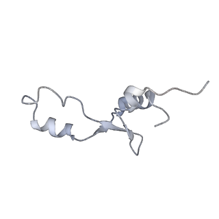 8279_5kps_5_v1-4
Structure of RelA bound to ribosome in absence of A/R tRNA (Structure I)