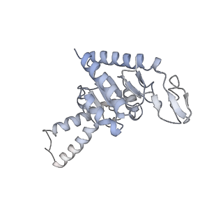 8279_5kps_7_v1-4
Structure of RelA bound to ribosome in absence of A/R tRNA (Structure I)
