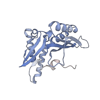 8279_5kps_8_v1-4
Structure of RelA bound to ribosome in absence of A/R tRNA (Structure I)