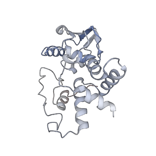 8279_5kps_9_v1-4
Structure of RelA bound to ribosome in absence of A/R tRNA (Structure I)