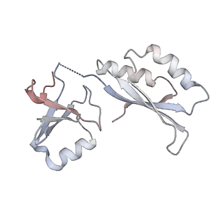 8279_5kps_A_v1-4
Structure of RelA bound to ribosome in absence of A/R tRNA (Structure I)