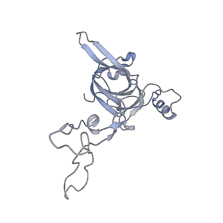 8279_5kps_C_v1-4
Structure of RelA bound to ribosome in absence of A/R tRNA (Structure I)