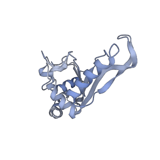 8279_5kps_E_v1-4
Structure of RelA bound to ribosome in absence of A/R tRNA (Structure I)