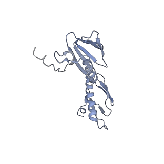 8279_5kps_F_v1-4
Structure of RelA bound to ribosome in absence of A/R tRNA (Structure I)