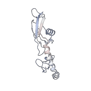 8279_5kps_G_v1-4
Structure of RelA bound to ribosome in absence of A/R tRNA (Structure I)