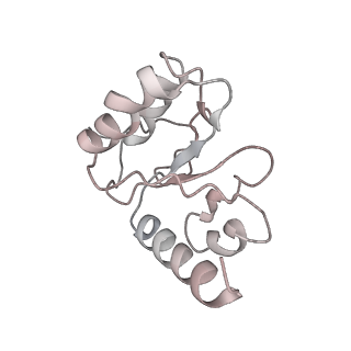 8279_5kps_H_v1-4
Structure of RelA bound to ribosome in absence of A/R tRNA (Structure I)
