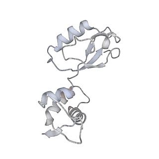 8279_5kps_I_v1-4
Structure of RelA bound to ribosome in absence of A/R tRNA (Structure I)