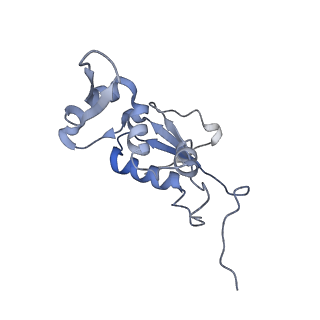 8279_5kps_J_v1-4
Structure of RelA bound to ribosome in absence of A/R tRNA (Structure I)