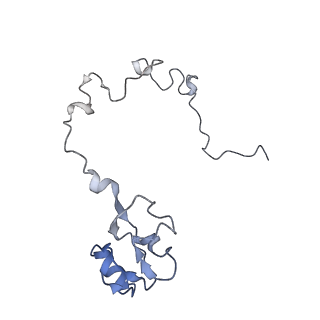 8279_5kps_L_v1-4
Structure of RelA bound to ribosome in absence of A/R tRNA (Structure I)