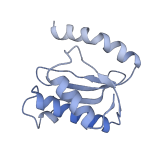 8279_5kps_O_v1-4
Structure of RelA bound to ribosome in absence of A/R tRNA (Structure I)
