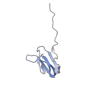 8279_5kps_W_v1-4
Structure of RelA bound to ribosome in absence of A/R tRNA (Structure I)