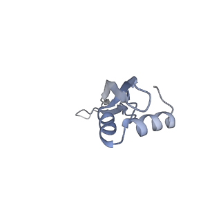 8279_5kps_X_v1-4
Structure of RelA bound to ribosome in absence of A/R tRNA (Structure I)