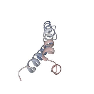8279_5kps_Y_v1-4
Structure of RelA bound to ribosome in absence of A/R tRNA (Structure I)