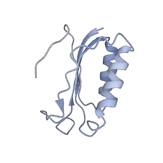 8280_5kpv_10_v1-4
Structure of RelA bound to ribosome in presence of A/R tRNA (Structure II)