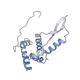 8280_5kpv_11_v1-4
Structure of RelA bound to ribosome in presence of A/R tRNA (Structure II)