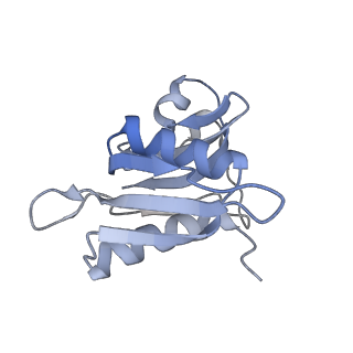 8280_5kpv_12_v1-4
Structure of RelA bound to ribosome in presence of A/R tRNA (Structure II)