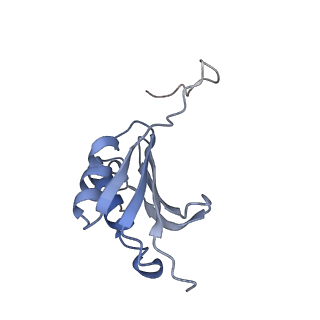8280_5kpv_15_v1-4
Structure of RelA bound to ribosome in presence of A/R tRNA (Structure II)