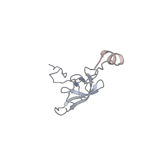 8280_5kpv_16_v1-4
Structure of RelA bound to ribosome in presence of A/R tRNA (Structure II)