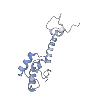 8280_5kpv_17_v1-4
Structure of RelA bound to ribosome in presence of A/R tRNA (Structure II)