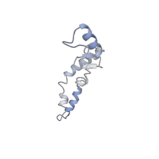 8280_5kpv_18_v1-4
Structure of RelA bound to ribosome in presence of A/R tRNA (Structure II)