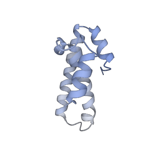 8280_5kpv_19_v1-4
Structure of RelA bound to ribosome in presence of A/R tRNA (Structure II)