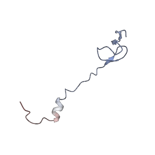 8280_5kpv_1_v1-4
Structure of RelA bound to ribosome in presence of A/R tRNA (Structure II)