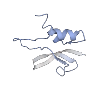 8280_5kpv_20_v1-4
Structure of RelA bound to ribosome in presence of A/R tRNA (Structure II)