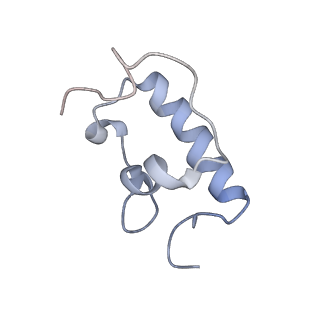 8280_5kpv_22_v1-4
Structure of RelA bound to ribosome in presence of A/R tRNA (Structure II)
